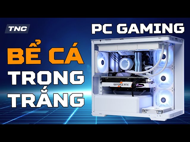 Build PC Gaming 24 Triệu - Bể Cá Giờ Rẻ Quá với Jonsbo D300 I i5 14500 vs RTX 3060