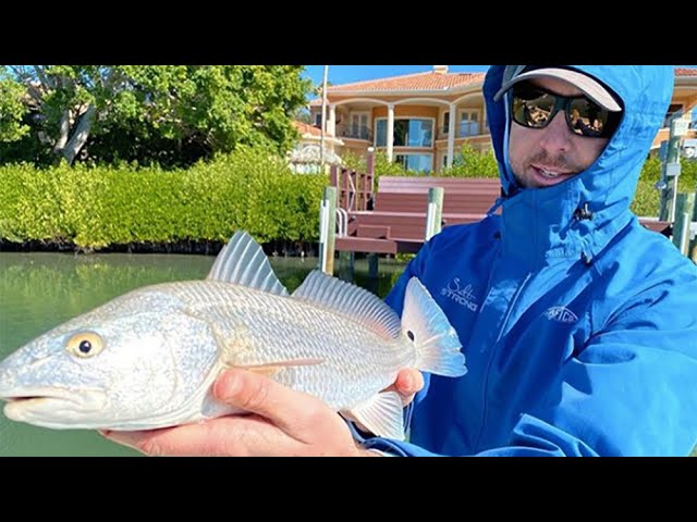 How Water Temperature Affects Inshore Saltwater Fishing (How To Catch Fish In The Summer & Winter)