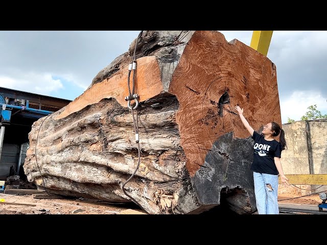 Giant Wood Pocessing Factory // Sawing Skills Of Workers In The Wood Factory