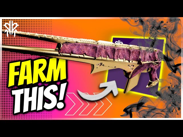 The ONLY Scout Rifle that can do this! - Doom of Chelchis PvE God Roll - Kings Fall Raid - Destiny 2