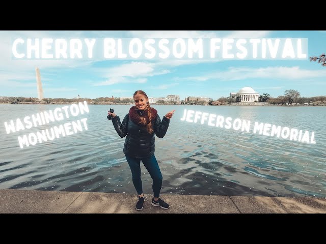 WASHINGTON DC CHERRY BLOSSOM FESTIVAL 2021//WASHINGTION MONUMENT//JEFFERSON MEMORIAL