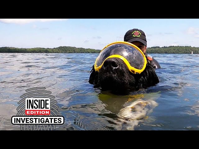 Will These Dogs Rescue Their Owners From Drowning?