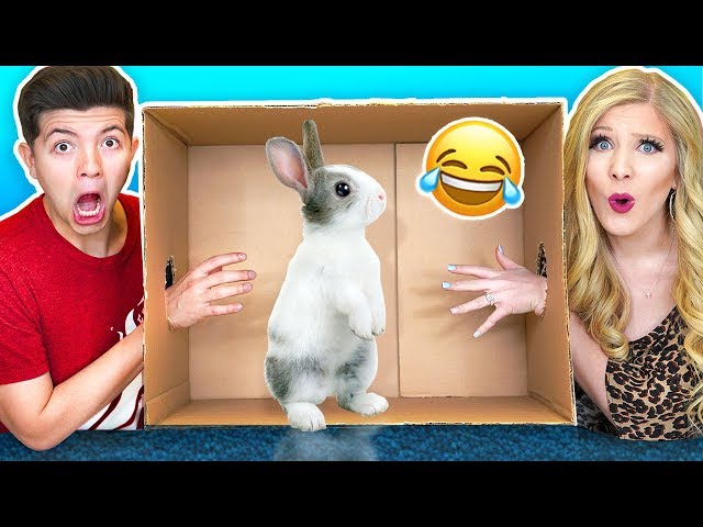 What's In The Box Challenge with My Wife! (Live Animals, Snake, Lizard, Giant Toad)