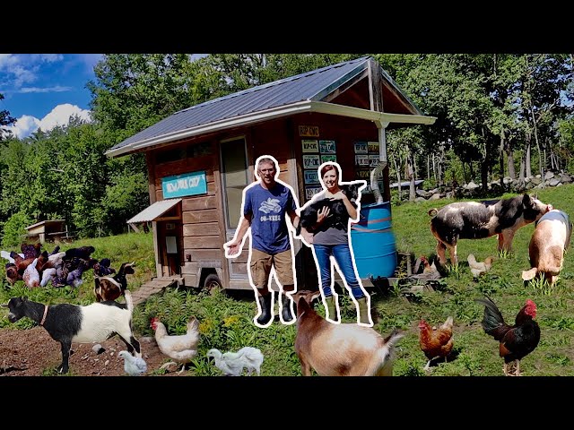 Raising 143 FARM Animals to FEED our FAMILY on our HOMESTEAD