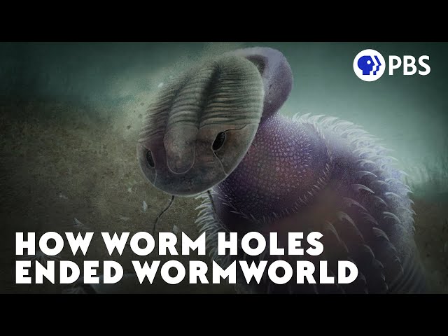 How Worm Holes Ended Wormworld