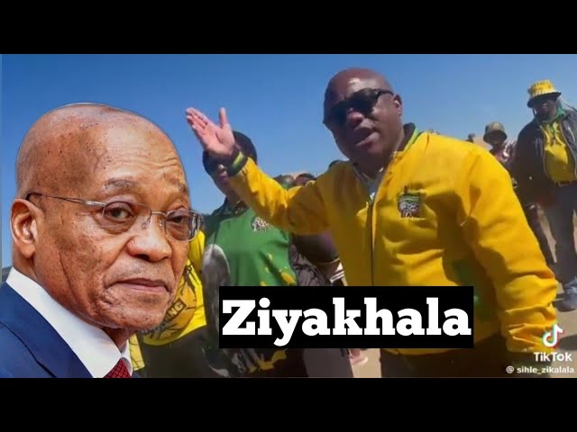 Sihle Zikalala WARNED Zuma, his kids and MK | Kubi