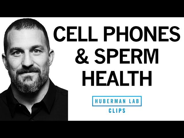 Cell Phones & EMFs Reduce Sperm Health & Testosterone | Dr. Andrew Huberman