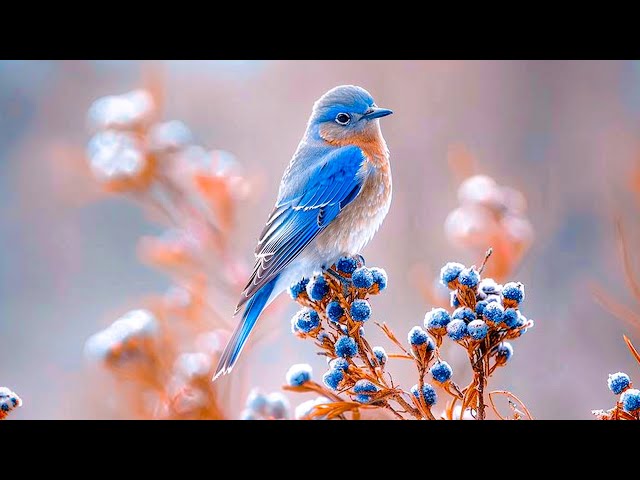 Beautiful relaxing music to calm your mind 🌿 Music Heals Anxiety And Depression