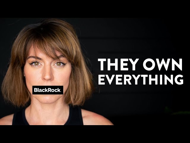 This company owns the world (and it's our fault) - BlackRock