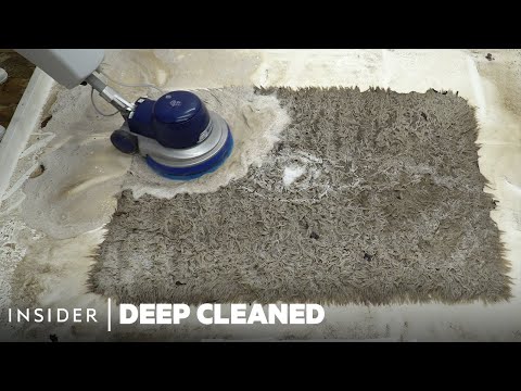 How A Worm-Infested Rug Is Deep Cleaned | Deep Cleaned