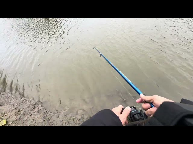 Relaxing fishing from my home.6.5.2024
