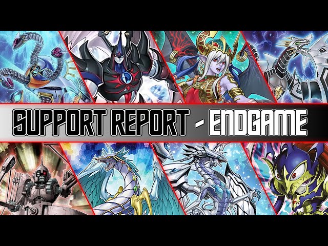 Support Report - Endgame