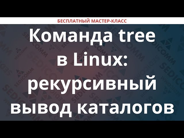 Команда tree в Linux: рекурсивный вывод каталогов