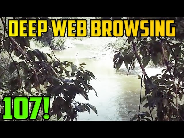 FROM THE WOODS!?! - Deep Web Browsing 107