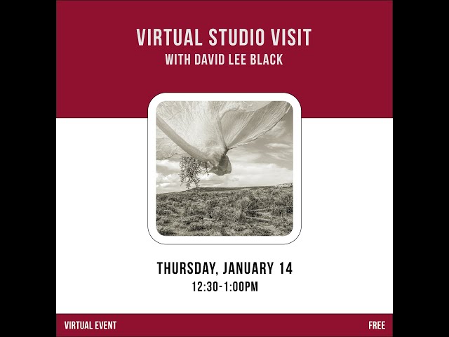 Virtual Studio Visit: David Lee Black