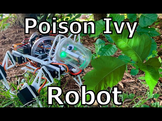 Poison Ivy Dog Robot