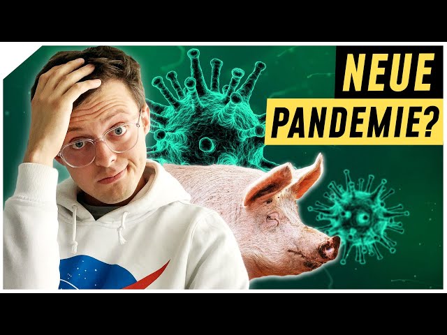 Neue Schweinegrippe! Beginnt das Zeitalter der Pandemien? | Breaking Lab
