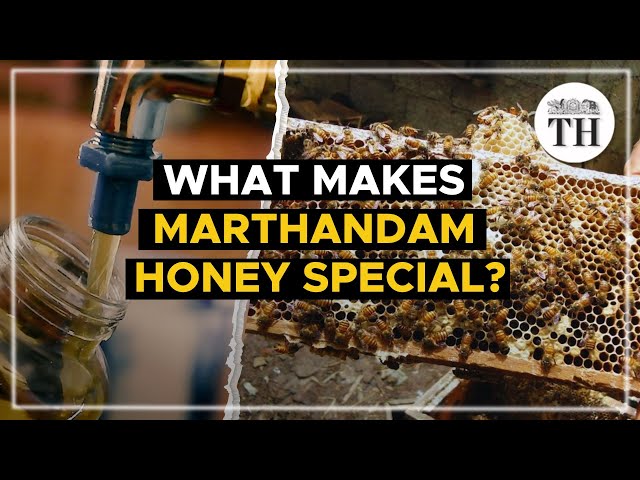 What makes ‘Marthandam Honey’ special? | The Hindu