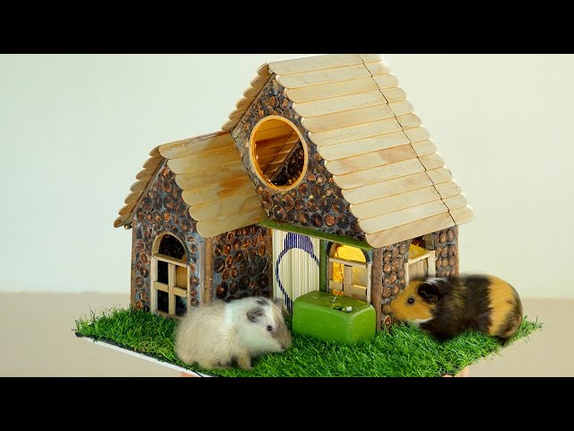 DIY Craft How To Make Pig Guinea Wood House