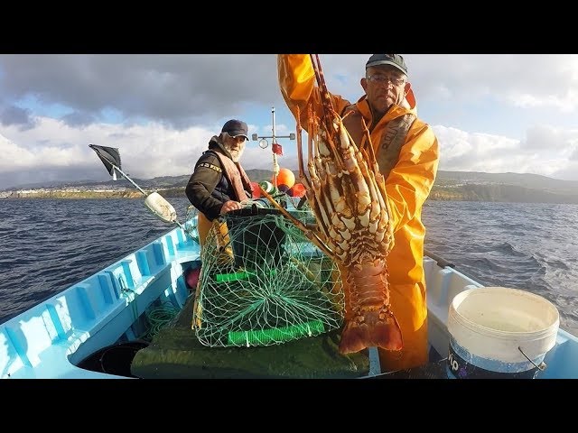 Fishing Lobster / Pesca de lagosta, Pesca de la langosta,  ロブスター釣り 龍蝦釣魚     صيد سرطان