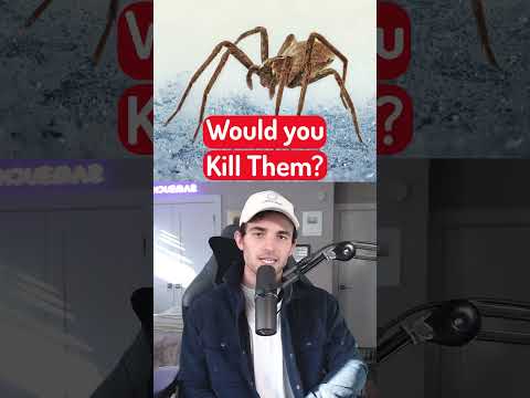 Do You Kill These Bugs?