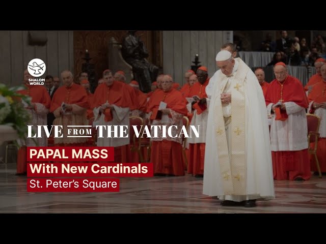 Papal Mass with the New Cardinals LIVE from St. Peter’s Square | LIVE