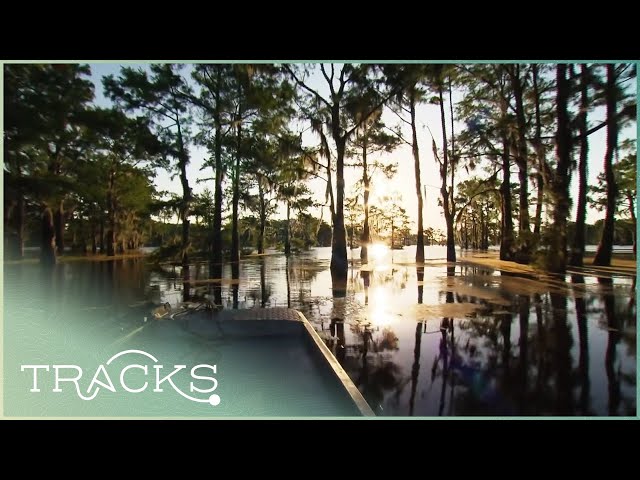 Along the Mississippi: The Deep South (Part 1 - Full Documentary) | TRACKS
