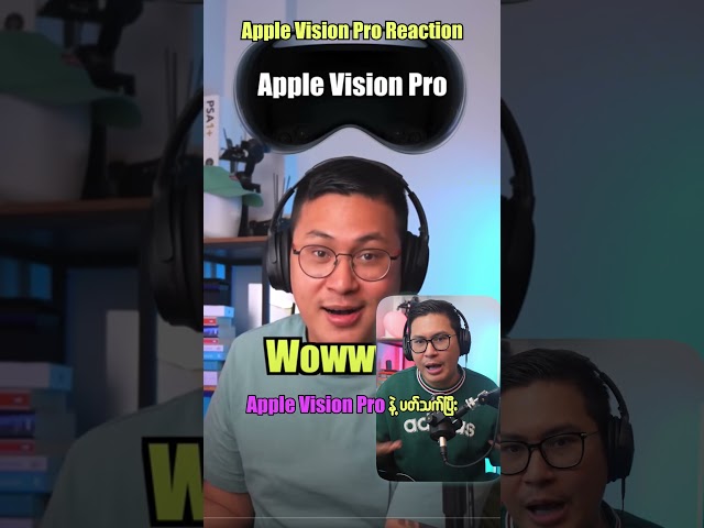Apple Vision Reaction