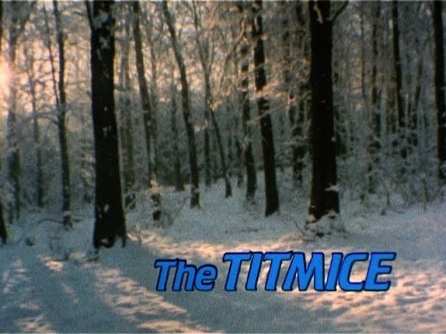 The Titmice