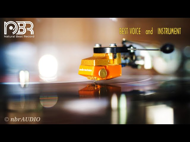 Best Voice and Instrument - High End Audiophile Music [ HQ Music ] - Natural Beat Record