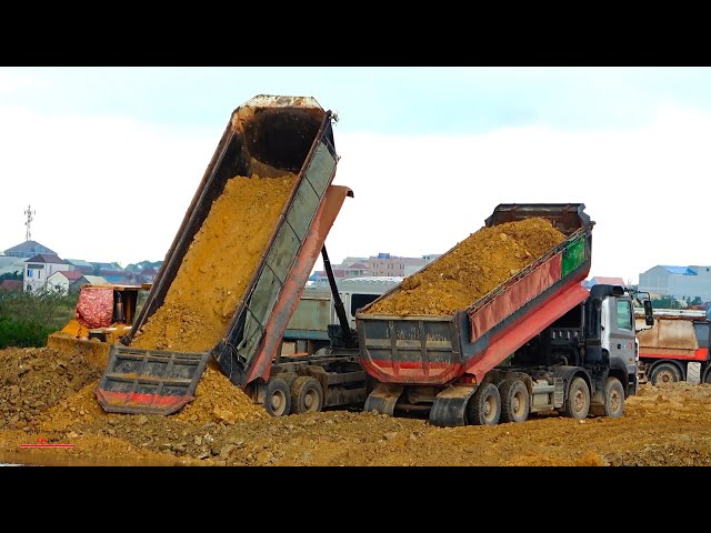 Strong Heavy Hyundai Dumper Truck Group Spreading Dirt