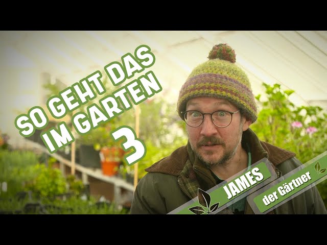 Antworten auf Ihre Fragen zu Pflanzen und Pflege I James der Gärtner