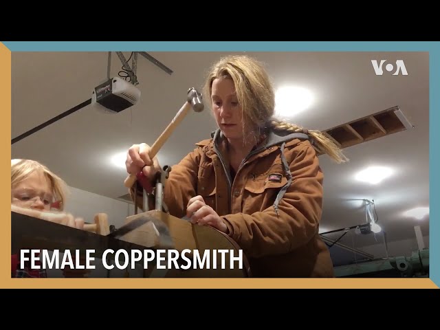 Female Coppersmith | VOA Connect