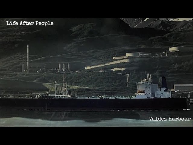 Life After People - Valdez Harbour