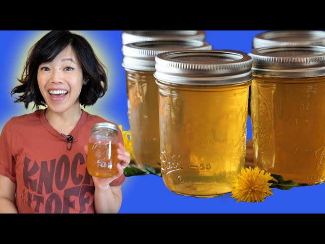 Poor Man's Honey -- DANDELION JELLY Recipe