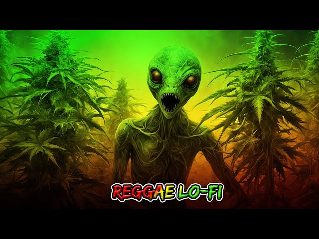 Relaxing Reggae Study Beats Enhance Your Learning Experience 2024