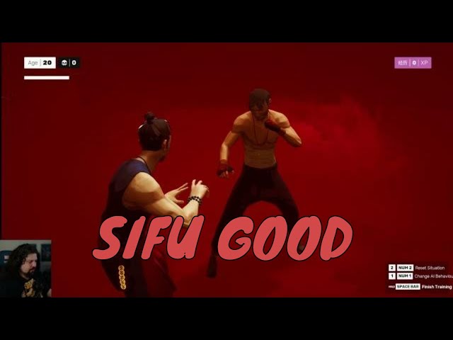 Sifu Has The Best Punch In Video Games