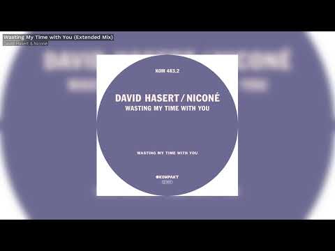 David Hasert & Niconé - Wasting My Time with You