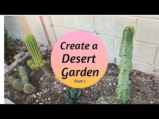 Creating a Mini DESERT GARDEN | Cactus Garden (Part 1)