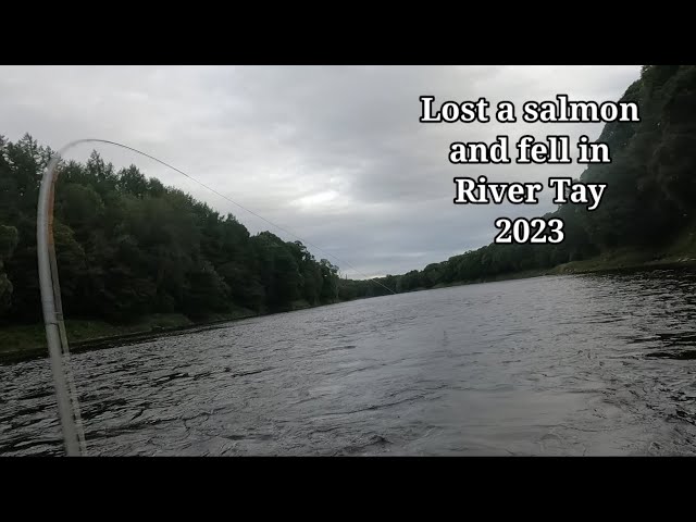 Fell in again!!! Salmon Fishing River Tay 2023