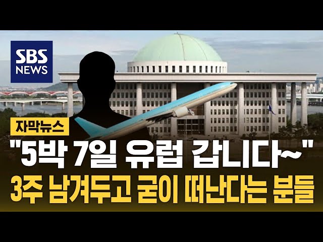 3주 남겨두고 굳이?…'5박 7일' 유럽 가는 의원님들 (자막뉴스) / SBS