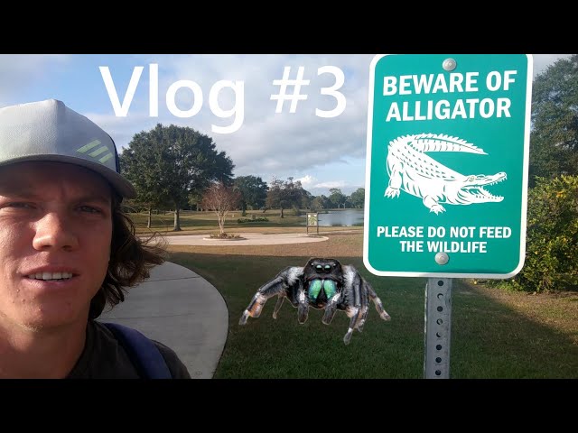 They don't have these in South Dakota! - Ezra Aderhold - Vlog #3