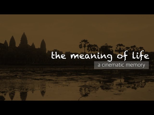 a reminder of the beauty in life - The Meaning of Life  [a short cinematic film]