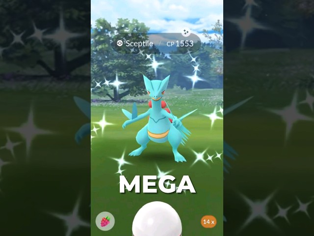 Top Counters for MEGA SCEPTILE!