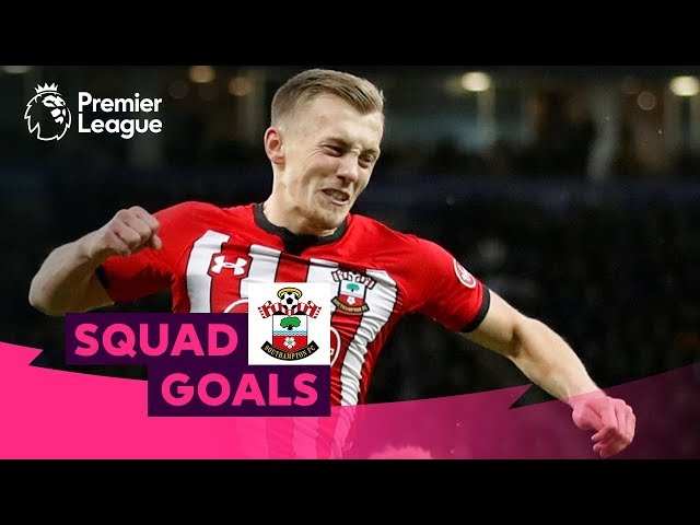 Superb Southampton Goals | Le Tissier, Ward-Prowse, Beattie | Squad Goals