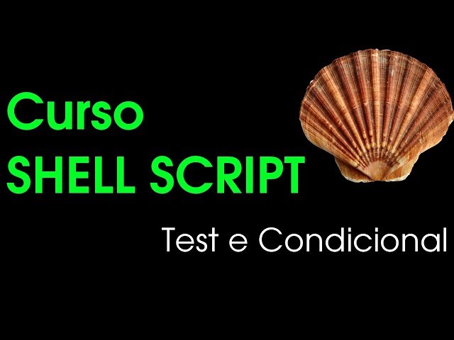 TEST E CONDICIONAL - Shell Script