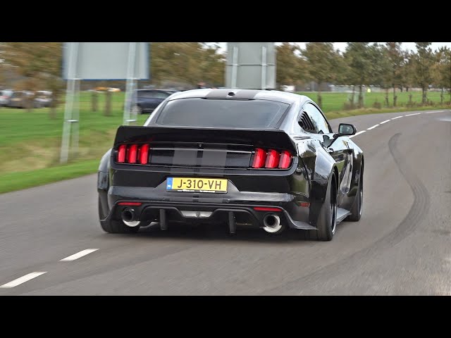 BEST OF FORD MUSTANG SOUNDS! Shelby GT500, Alphamale Widebody, GT350, RTR Widebody, Royal Crimson GT