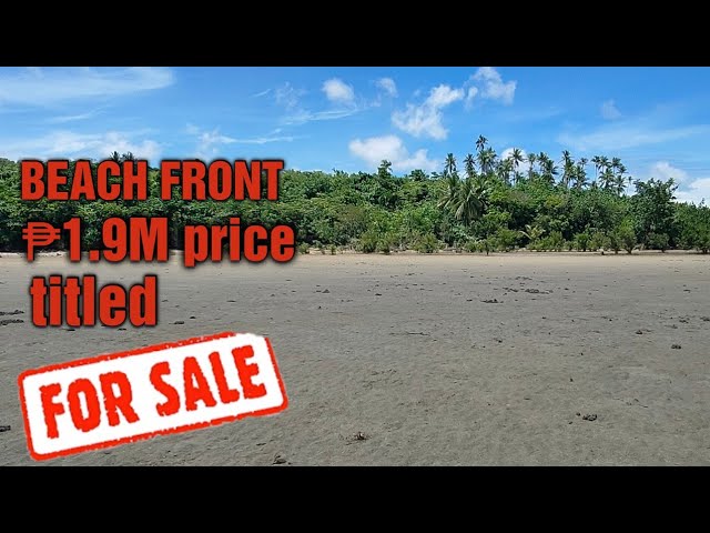 #77 Beach front property for sale Calauag Quezon province