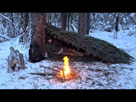 Winter Survival Shelter - Sleeping Outside in -25° Weather