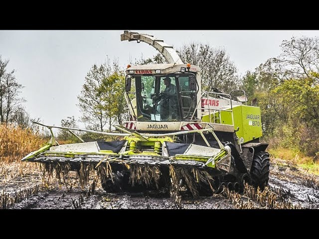 Challenger Terra Gator in Action | Chopping maize in the mud | Claas Jaguar 870 forage harvester